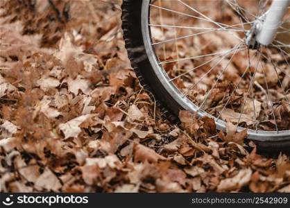 mountain bike autumn leaves