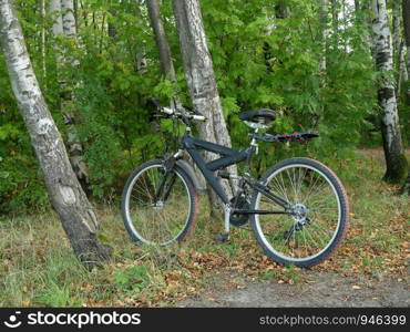 mountain bike by the tree in the forest, without people