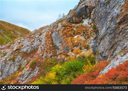mountain colorful photo. mountains in beauty autumn day