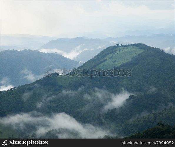 Mountain complex. Fog covered the hillside. And forest land. Cool in the morning and evening.