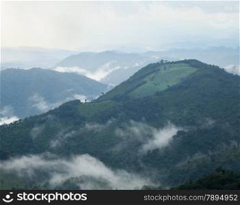 Mountain complex. Fog covered the hillside. And forest land. Cool in the morning and evening.