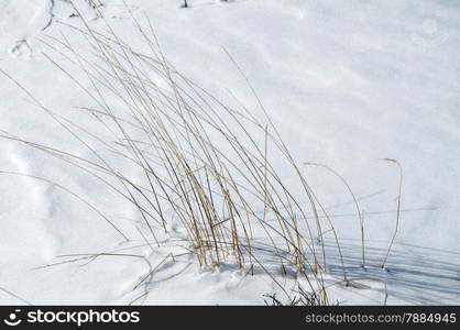 Mountain dry grasses covered with snow as winter background