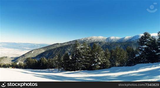Mountain fir forest and winter snow peaks, sunny day in Bansko, Bulgaria.