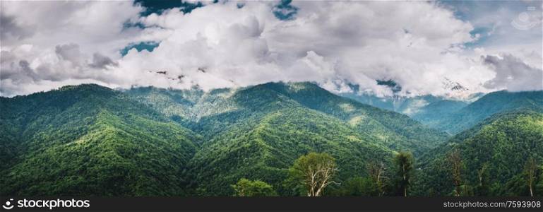 Mountain forest and clouds. Summer panoramic landscape. Mountain forest and clouds