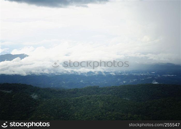 mountain forest and raining fog