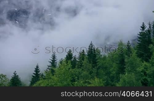 Mountain forest Fog Norway