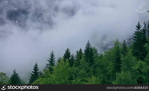 Mountain forest Fog Norway