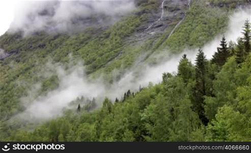 Mountain forest Fog Norway