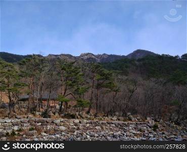 Mountain forest in South Korea. Seoraksan National Park