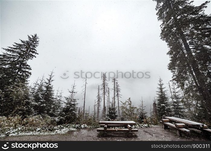 mountain forest in winter. A place for recreation of tourists. Mountains in the background in the fog and in the snow. Morske Oko, Poland. mountain forest in winter. A place for recreation of tourists. Mountains in the background in the fog and in the snow.