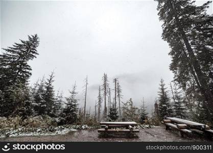 mountain forest in winter. A place for recreation of tourists. Mountains in the background in the fog and in the snow. Morske Oko, Poland. mountain forest in winter. A place for recreation of tourists. Mountains in the background in the fog and in the snow.