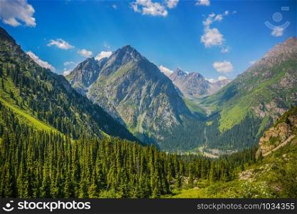 Mountain forest landscape under day sky with clouds. Terskey Alatoo mountains, Tian-Shan, Karakol, Kyrgyzstan. Mountain forest landscape under day sky with clouds. Terskey Alatoo mountains.