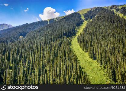 Mountain forest landscape under day sky with clouds. Terskey Alatoo mountains, Tian-Shan, Karakol, Kyrgyzstan. Mountain forest landscape under day sky with clouds. Karakol, Kyrgyzstan
