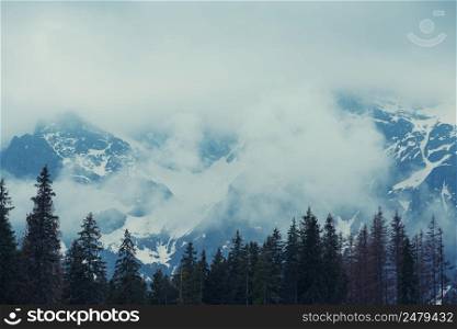 Mountain forest with low clouds and fog between the trees and peaks at dusk vintage toned