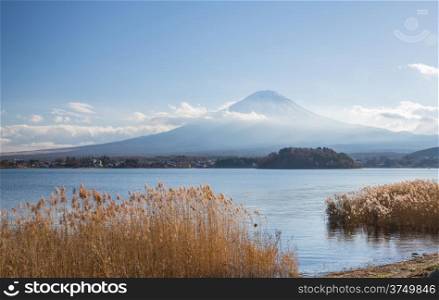 Mountain Fuji fujisan from Kawaguchigo lake with field in foreground at Yamanashi Japan