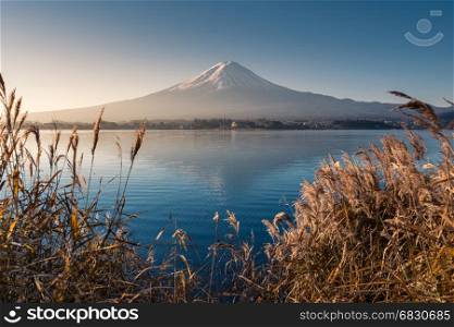 Mountain Fuji in morning from lake kawaguchiko