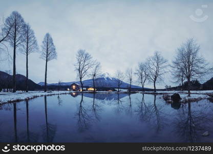 Mountain Fuji with dry trees and snow in Fumotoppara Camping Grounds in winter season near Fujikawaguchiko, Yamanashi. Five lakes, Japan. Nature landscape background