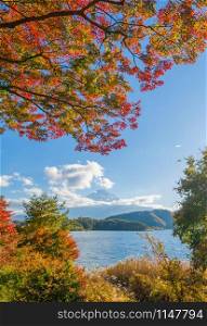 Mountain Fuji with red maple leaves or fall foliage in colorful autumn season near Fujikawaguchiko, Yamanashi. Five lakes. Trees in Japan with blue sky. Nature landscape background