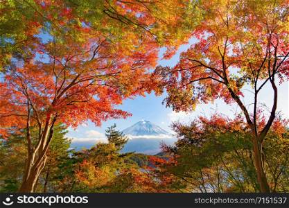 Mountain Fuji with red maple leaves or fall foliage in colorful autumn season near Fujikawaguchiko, Yamanashi. Five lakes. Trees in Japan with blue sky. Nature landscape background