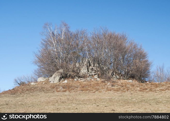 Mountain hill with rocks and defoliated trees in clear sunny winter day