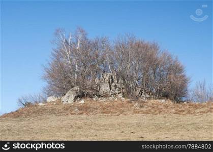 Mountain hill with rocks and defoliated trees in clear sunny winter day