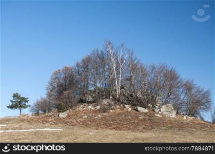 Mountain hill with rocks and trees