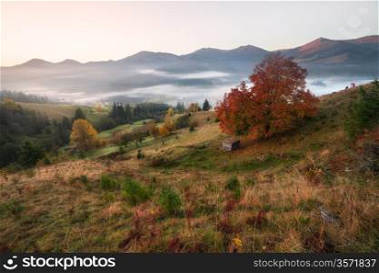 Mountain hills at misty autumn morning