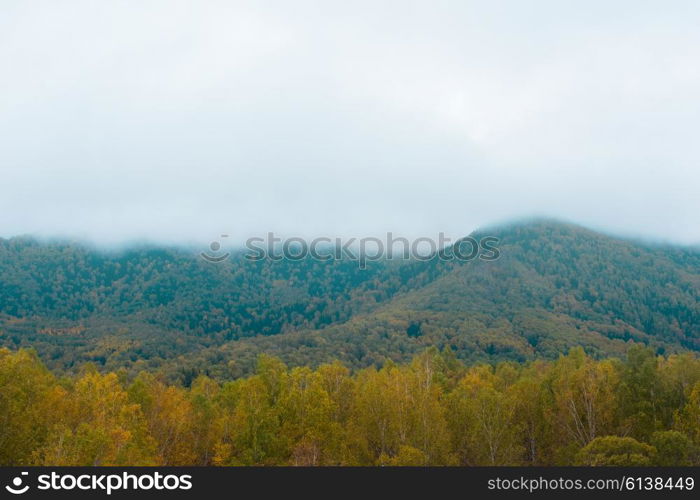 mountain in autumn day. mountains in beauty autumn day