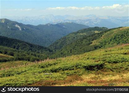 Mountain in national park Beogradsko ezero, Montenegro