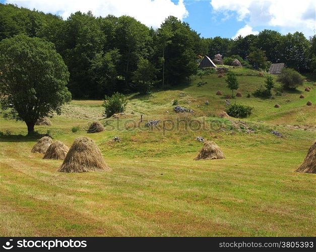 mountain in the summer time with haystack under the cloudy sky