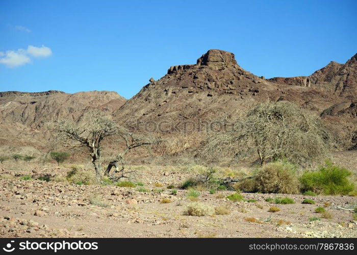 Mountain in Timna park in Nehev desert, Israel