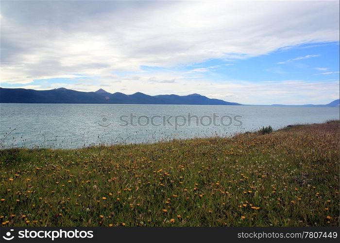 Mountain, lake and flowers in south Argentina