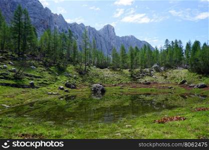 Mountain lake and green grassnear Triglav mount in Slovenian Alps