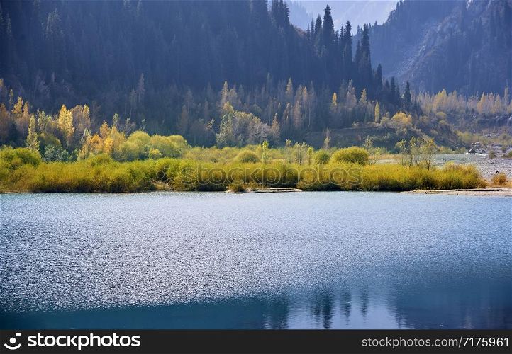 Mountain Lake with plants and trees in USA. California