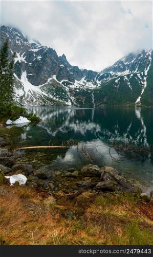 Mountain lake with tree underwater vertical panorama