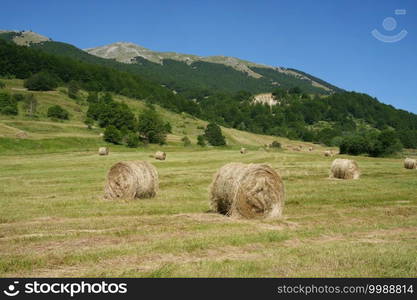 Mountain landscape at Abruzzo National Park at summer