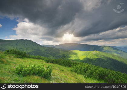 Mountain landscape. Composition of nature.