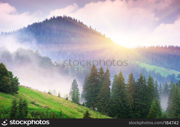 Mountain landscape. Composition of nature.