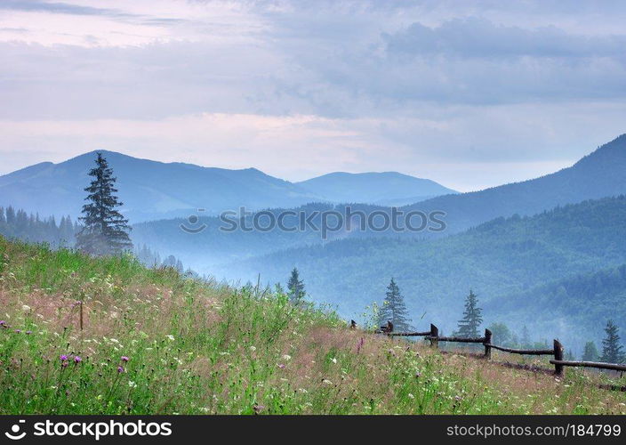 Mountain landscape. Composition of nature.