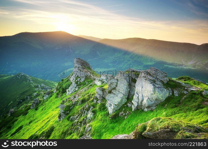 Mountain landscape. Composition of nature.