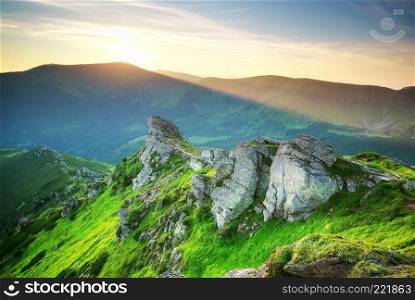 Mountain landscape. Composition of nature.