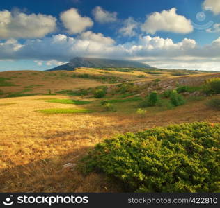 Mountain landscape. Composition of nature.