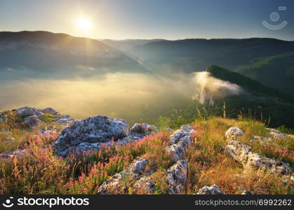 Mountain landscape. Composition of nature.