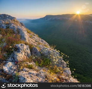 Mountain landscape during sunrise. Composition of nature.