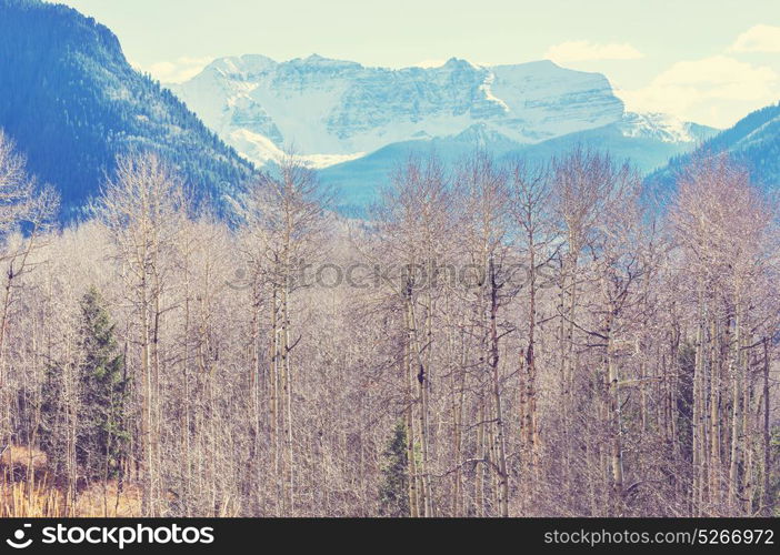 Mountain Landscape in Colorado Rocky Mountains, Colorado, United States.