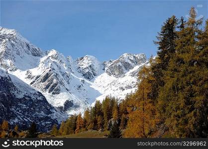 Mountain landscape in fall season; west alps Italy