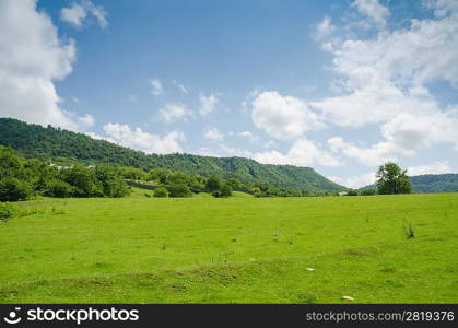 Mountain landscape in summer day