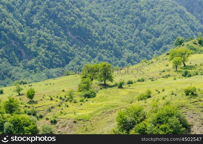 Mountain landscape in summer day