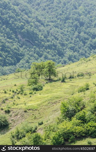 Mountain landscape in summer day