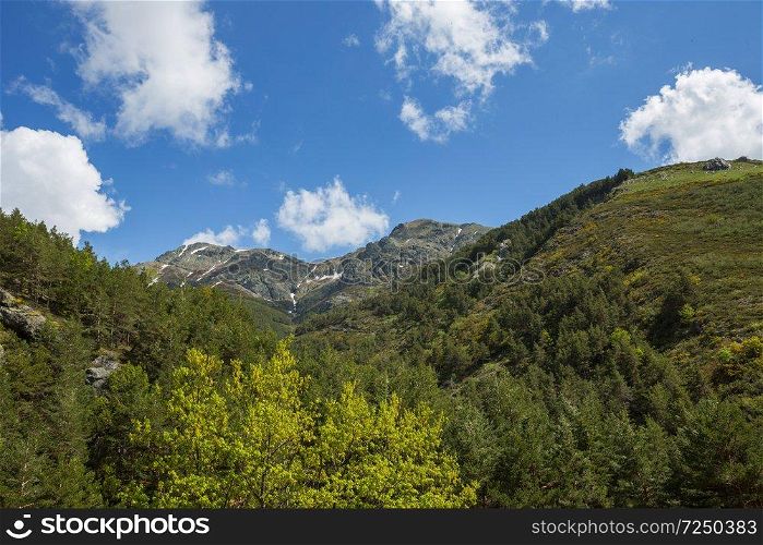 Mountain landscape in the Picos de Europa national park, Spain, Asturias. Snow on the mountain peaks.
